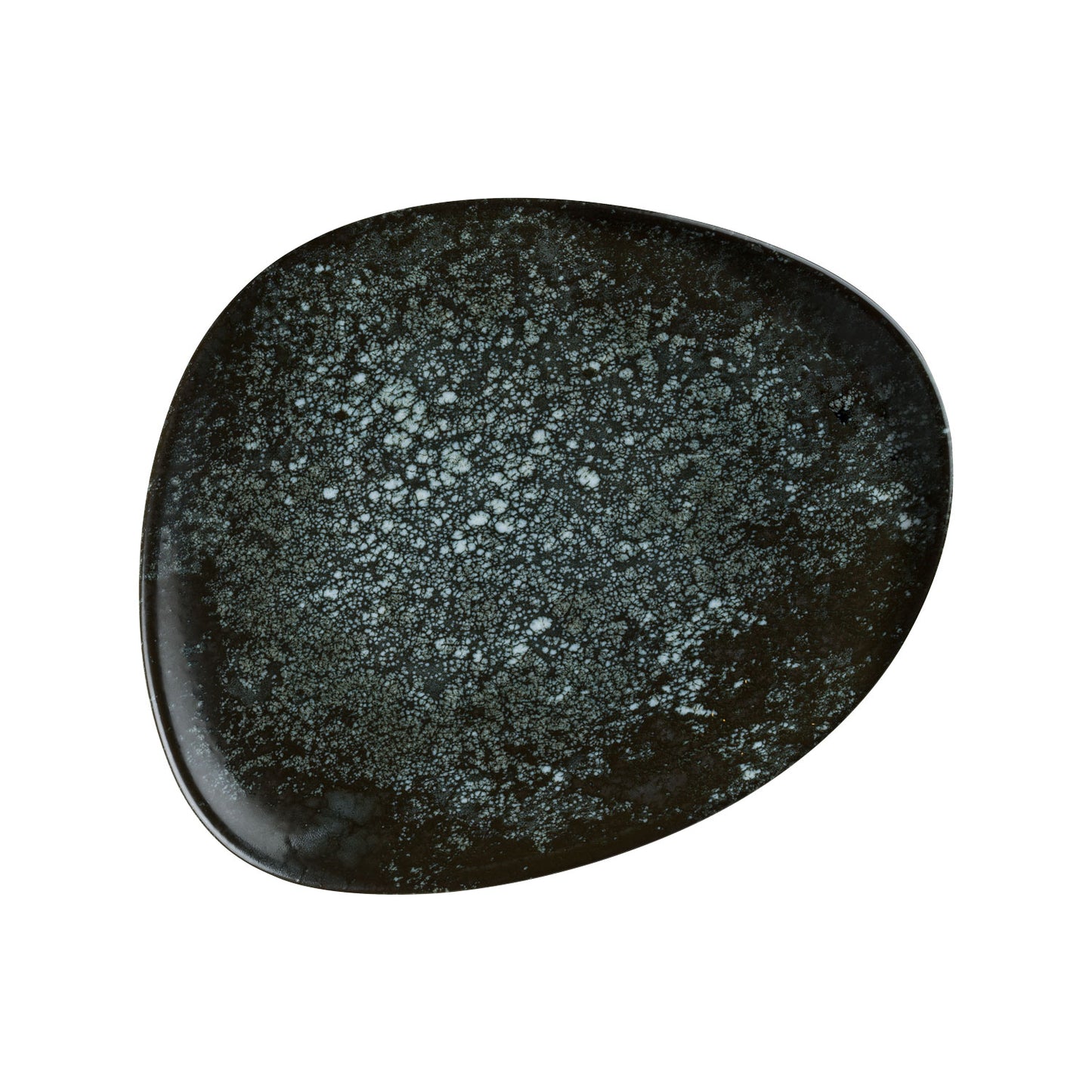 COSMOS BLACK - VAGO PLATE - 24CM (12)