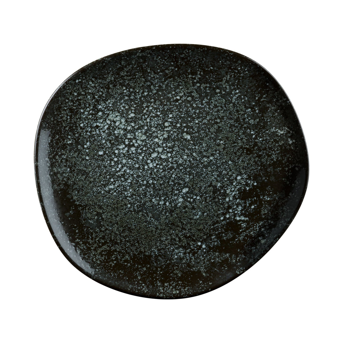 COSMOS BLACK - VAGO PLATE - 29CM (6)