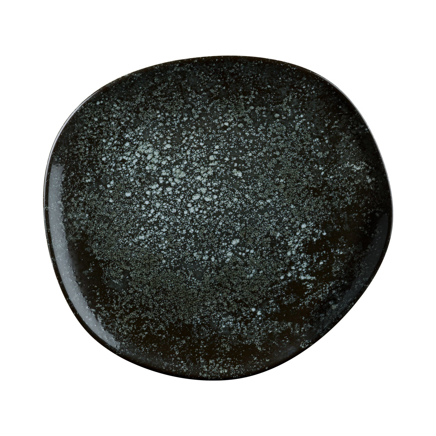 COSMOS BLACK - VAGO PLATE - 29CM (6)